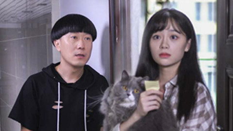 《陈翔六点半》第119集 单身狗巧用猫咪换取美女芳心